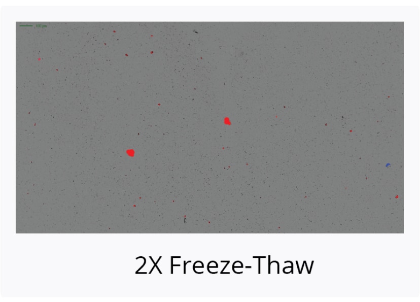 Freeze-Thaw