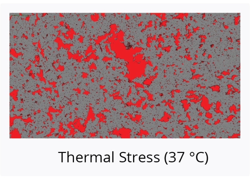 Thermal-Stress-37