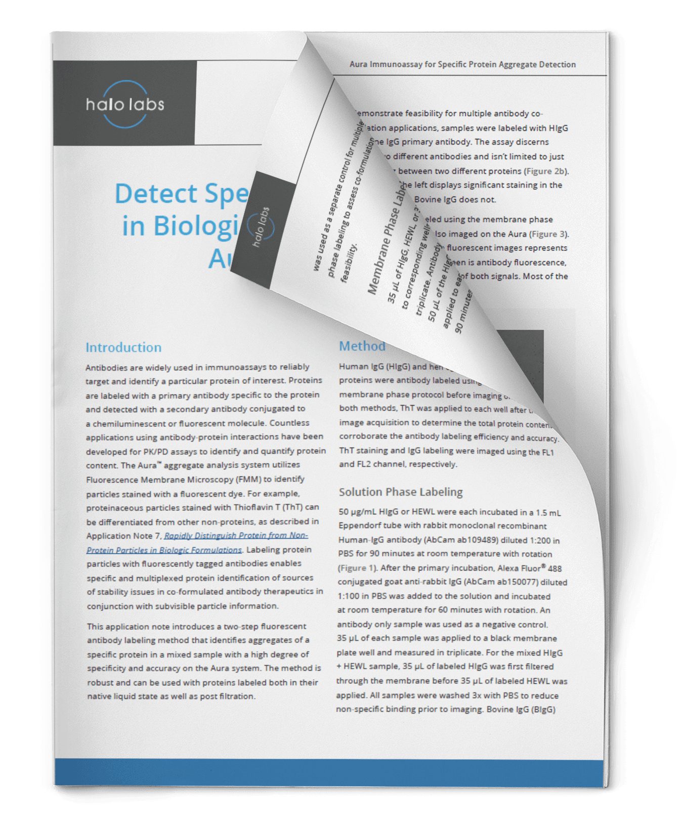 App Note 10: Detect Specific Protein Aggregates in Biologic Formulations with the Aura Immunoassay