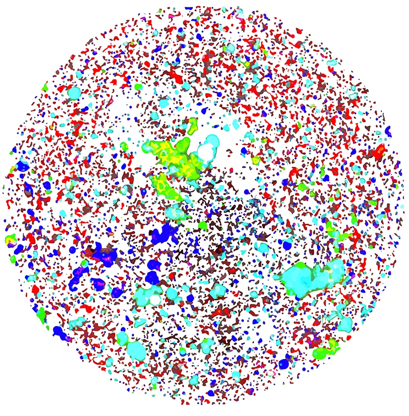 Fluorescence membrane microscopy image of heterogeneous particle sample.