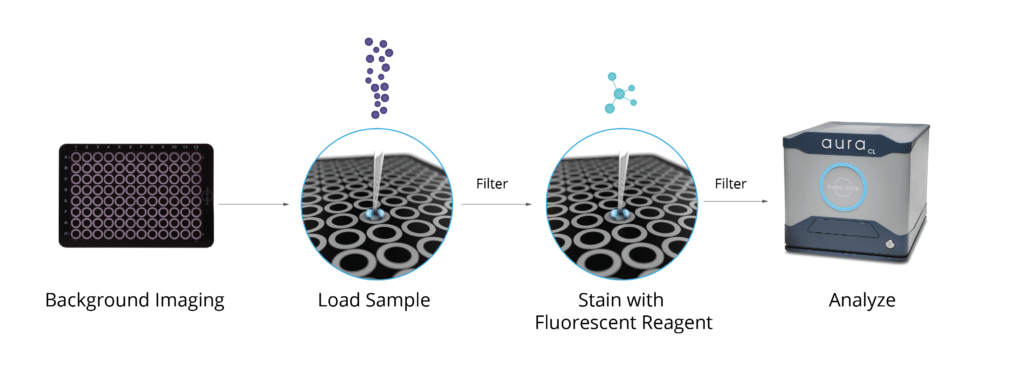 The polysorbate degradation assay workflow on Aura detects degraded excipients, even in high concentration protein formulations. 