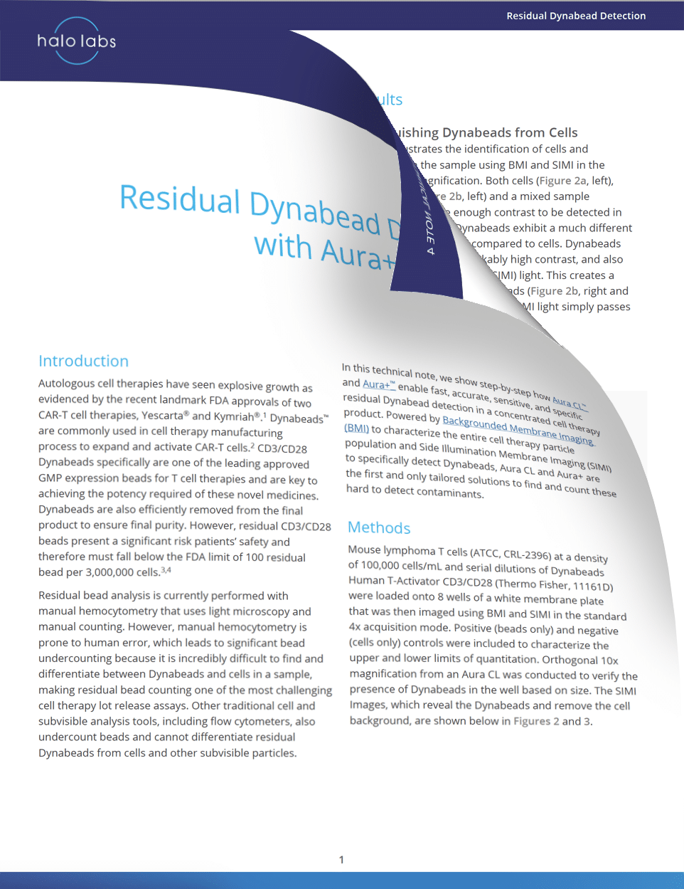 Tech Note 4: Residual Dynabead Detection with Aura
