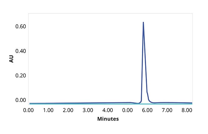 SEC analysis of monomeric antibody sample