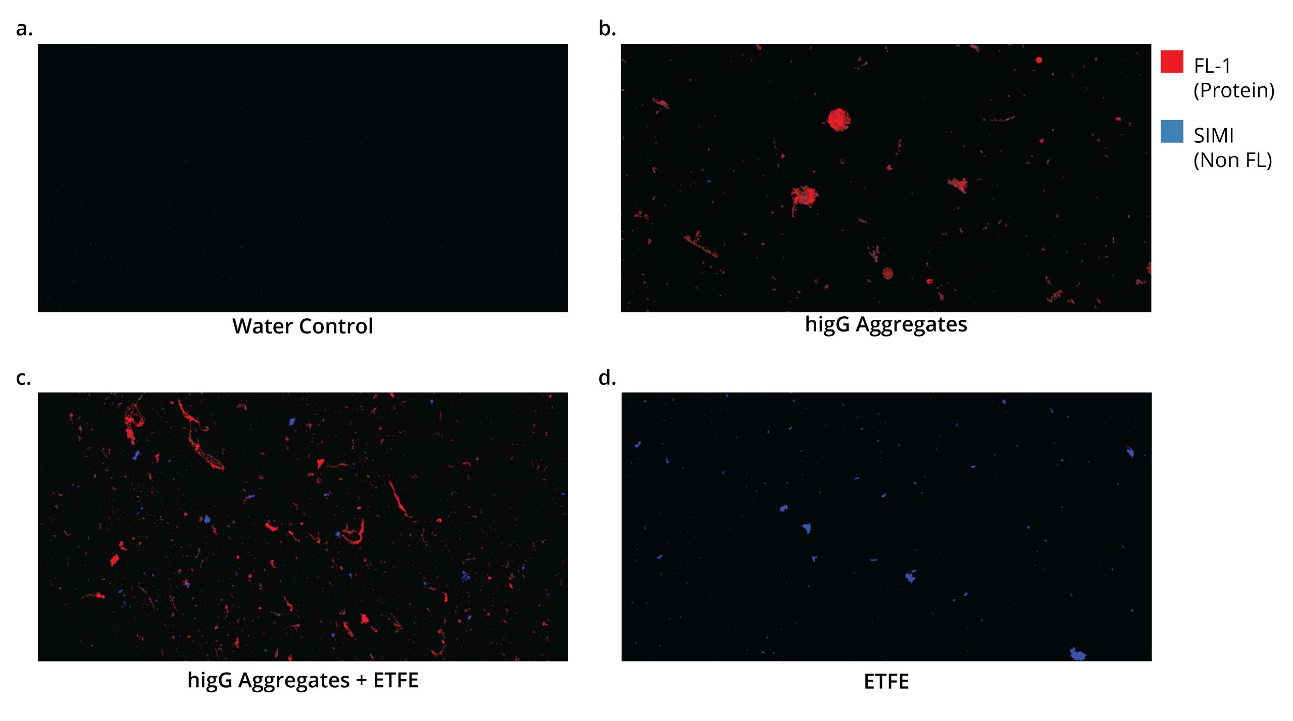 Thioflavin T (ThT) dye is used for protein identification on the Aura PTx