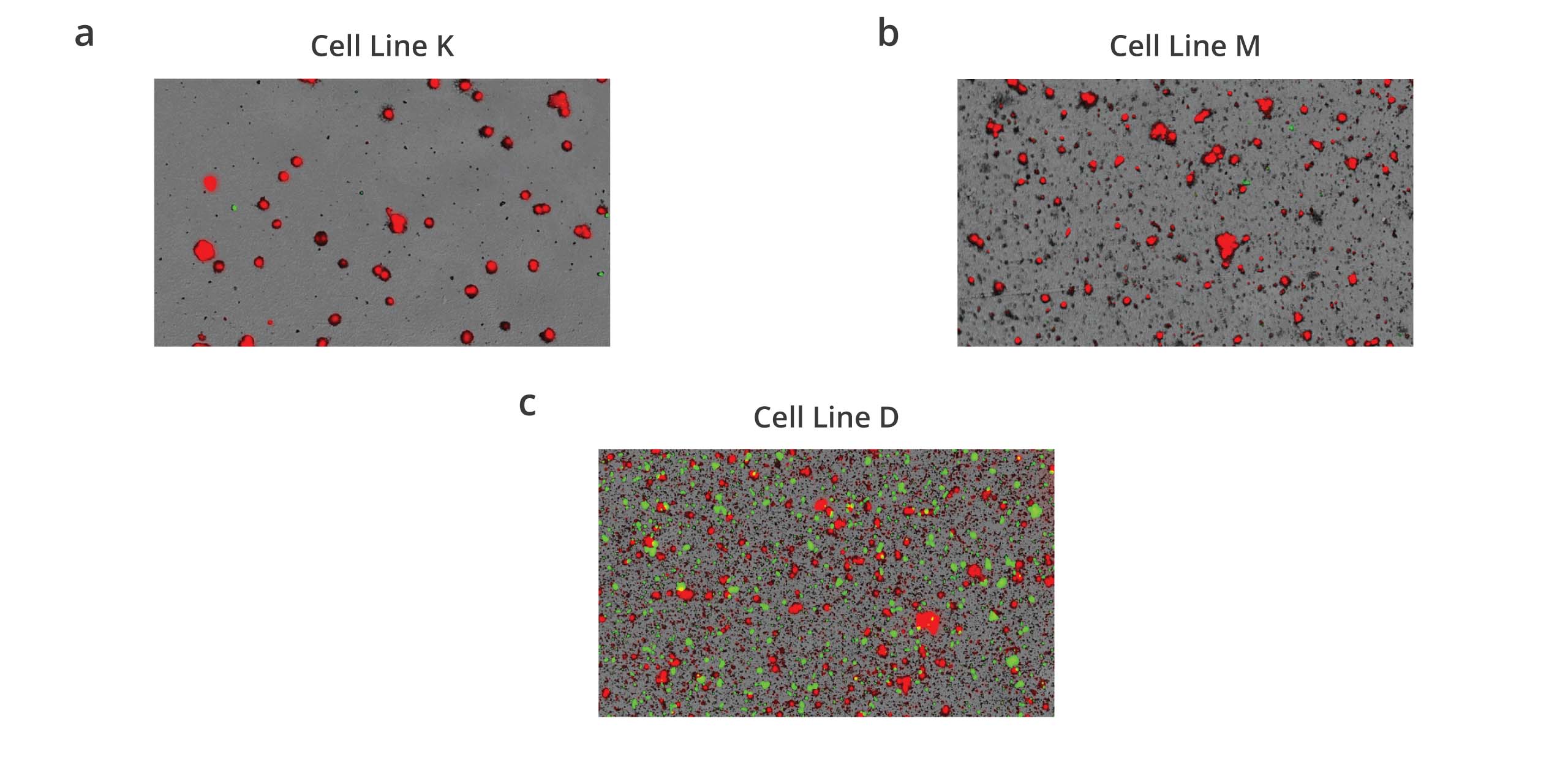 Pre screen cell line stability using the Aura PTx