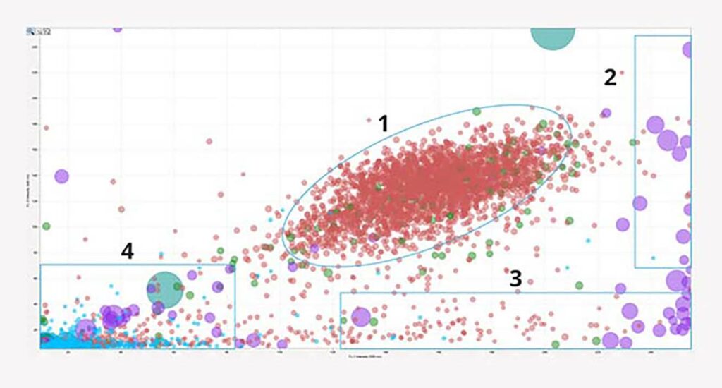 AN12 Scatter Plot 1 3