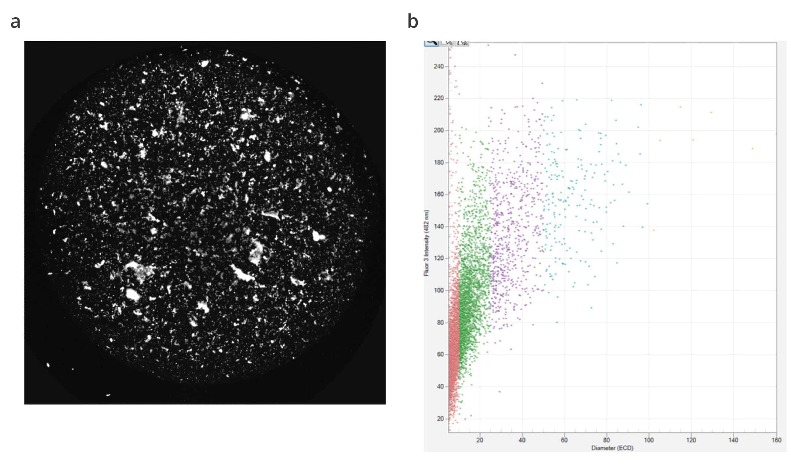 Lentivirus stability assesed using SYBR stain and our particle vue software.