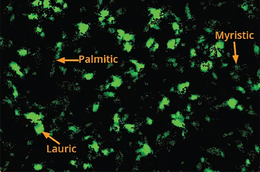 Polysorbate detection using the Aura PTx