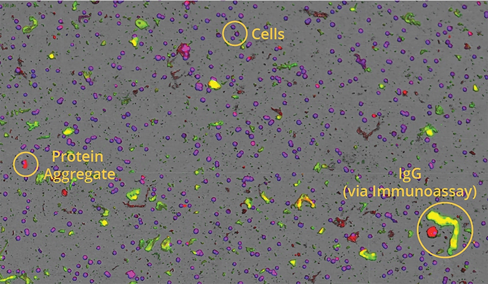 Particle identification with fluorescence membrane microscopy on the Aura plus