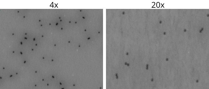 Accurately find and count residual Dynabeads® in concentrated cell therapy products.