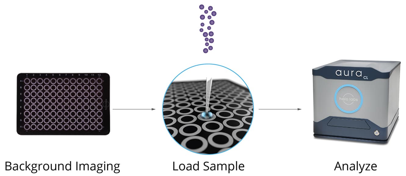 Backgrounded membrane imaging workflow.