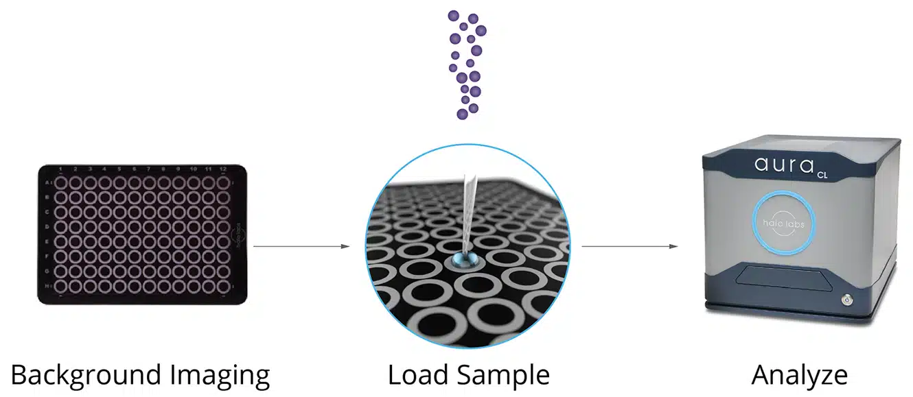 Backgrounded membrane imaging workflow.