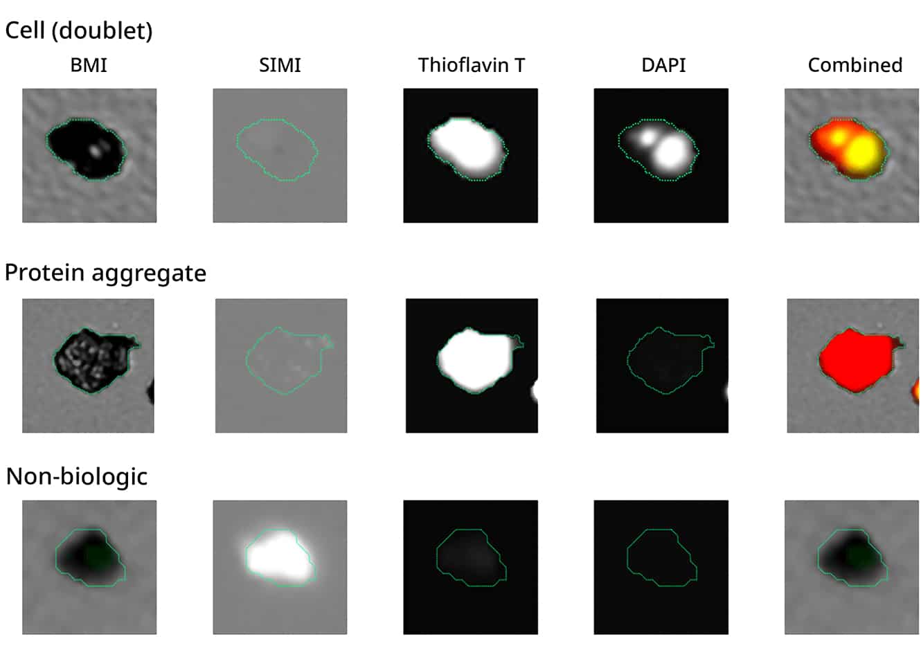 Advanced particle analysis is possible using the Aura CL with BMI, SIMI, and FMM technologies.