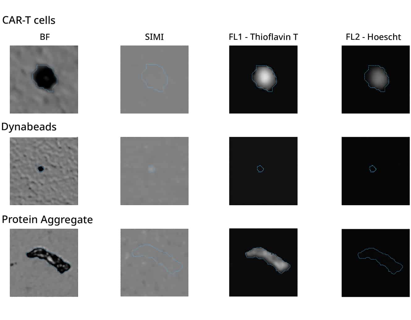 Characterize CAR T cells, dynabeads and protein aggregates simultaneously.