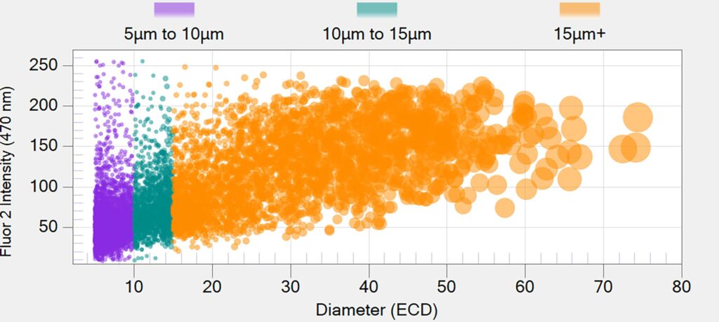 Evaluate the presence and distribution of proteins and associated aggregates with Particlue Vue Software for critical quality attributes drug product