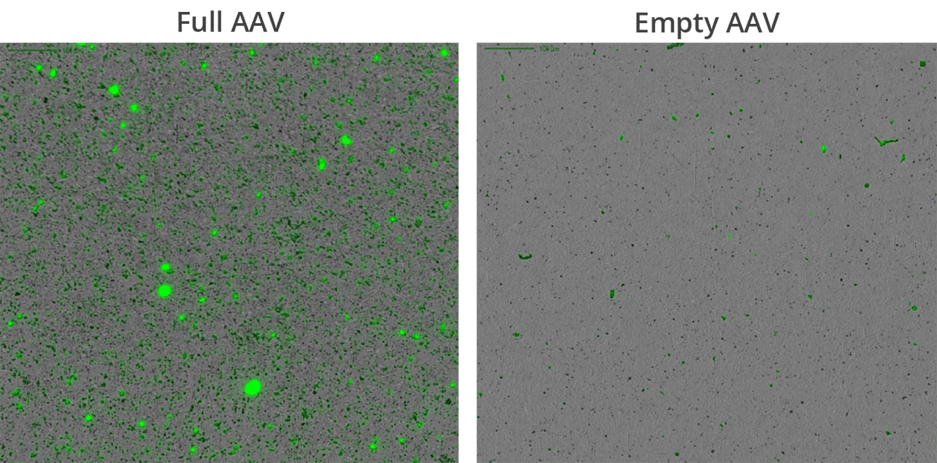 Differentiate between full and empty capsids easily with the Aura GT.