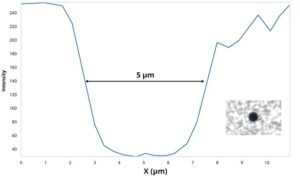 TN4 Dynabead Analysis V2