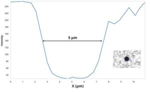 TN4 Dynabead Analysis V2