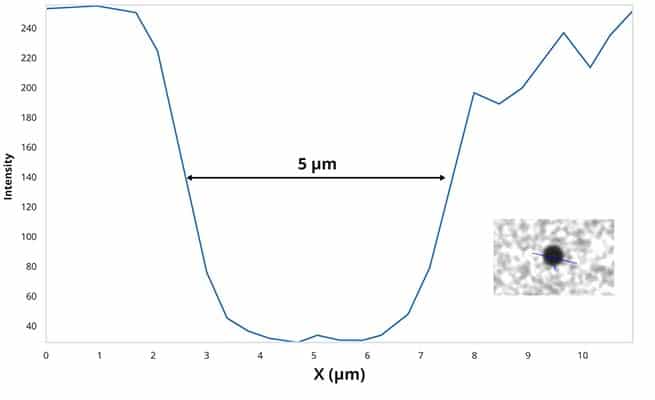 Dynabeads Cd8 Kit Cost Vs Performance Analysis - taasuc6