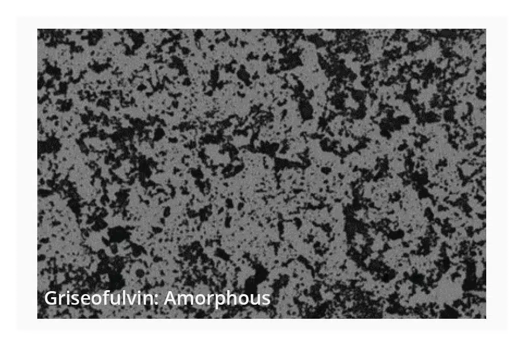 Brightfield image acquired on the Horizon of amorphous solid particles.