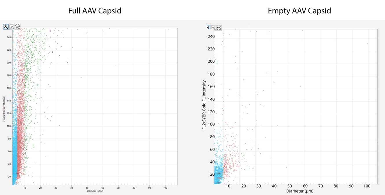 Scatterplot data for (a) full AAV capsids and (b) empty AAV capsids. The y-axis represents fluorescence intensity in the SYBR Gold channel, and the x-axis represents the equivalent circular diameter (ECD) for the individual particle.   The full AAV capsid (left) had 16–fold as many particles and almost 3x stronger average fluorescence intensity than the empty capsid sample (right).