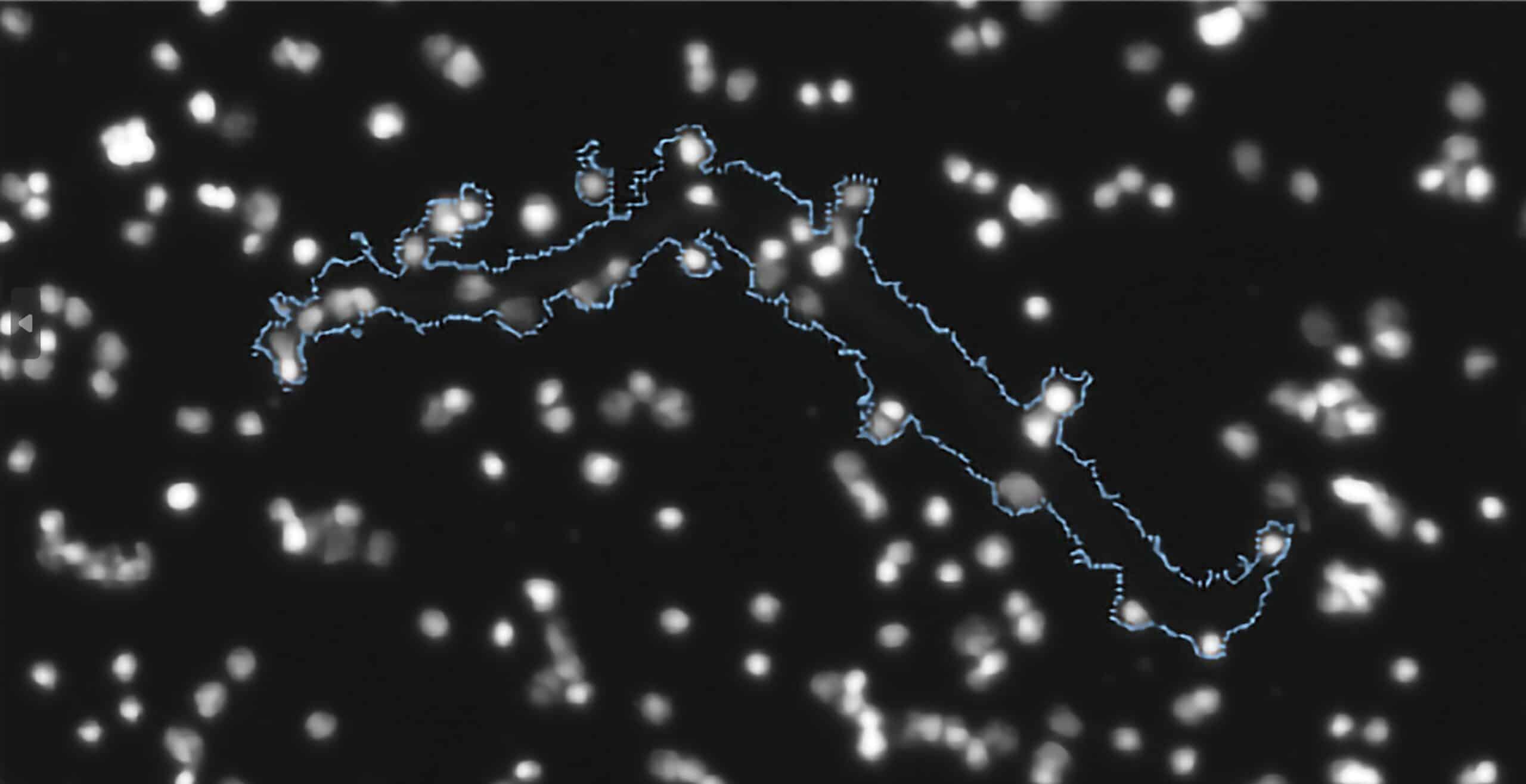 cell therapy product purity complex aggregate FMM large@2x scaled