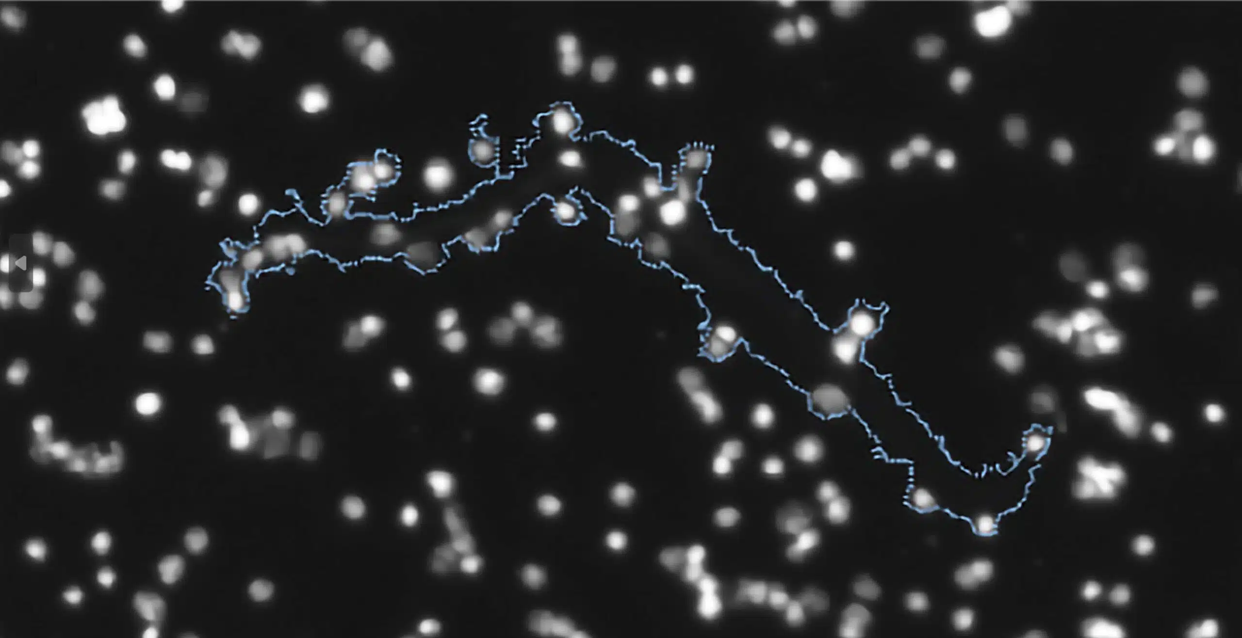 cell therapy product purity complex aggregate FMM large@2x scaled