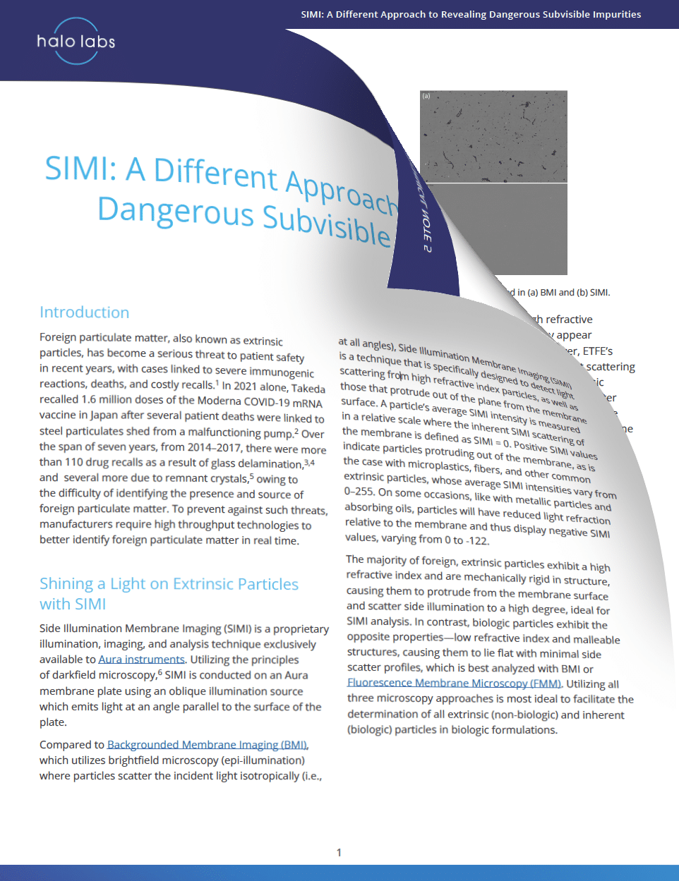 Tech Note 5: SIMI: A Different Approach to Revealing Dangerous Subvisible Impurities
