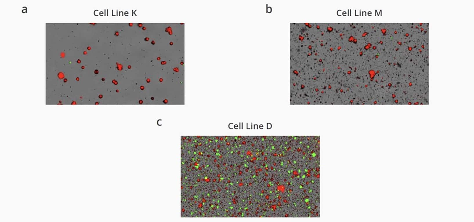 Figure 2. Stability analysis for antibody secreting CHO cell lines.