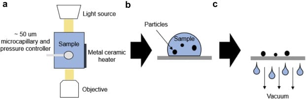 Schematic of experimental set-up. (A) A 50 µm I.D. glass capillary in a microtensiometer set-up is used to flow air into sample solution during microbubble aeration. (B) Following the applied stress, the entire sample is transferred to the membrane well plate for BMI using a pipette. (C) Vacuum is applied to the bottom of the membrane plate and sample is pulled through the membrane, leaving particles over 2 µm diameter deposited on the membrane for measurement using BMI from publication reference: Wood, C. V., Razinkov, V. I., Qi, W., Furst, E. M., & Roberts, C. J. (2021). A Rapid, Small-Volume Approach to Evaluate Protein Aggregation at Air-Water Interfaces. Journal of pharmaceutical sciences, 110(3), 1083–1092. https://doi.org/10.1016/j.xphs.2020.11.024