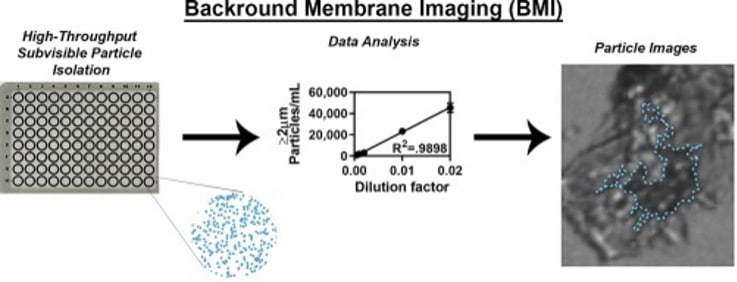 A comparison of background membrane imaging versus flow technologies for subvisible particle analysis of biologics