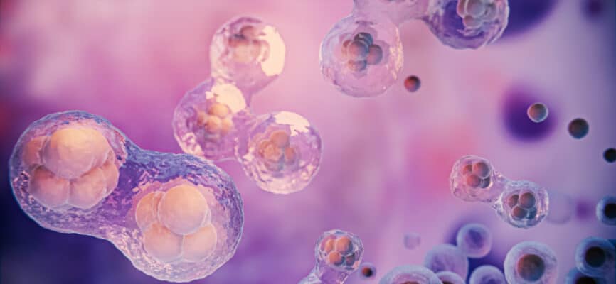 cells