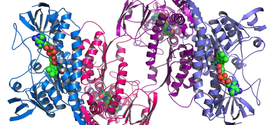 Complete Guide to Protein Identification and Characterization