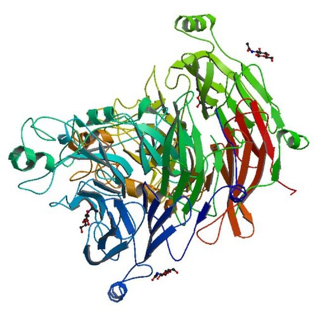 PBB Protein SEMA3A image