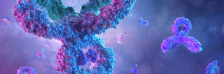 SEO blog immunogenicity hero 750x250 1